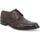Chaussures Homme Richelieu Melluso U90604W-236894 Marron