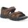 Chaussures Homme Sandales et Nu-pieds Melluso U55221W-233722 Marron