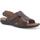 Chaussures Homme Sandales et Nu-pieds Melluso U75131W-232326 Marron
