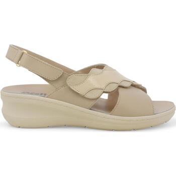 Chaussures Femme Coco & Abricot Melluso K95220W-232473 Beige