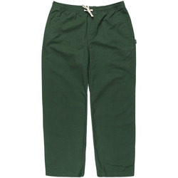 Vêtements Homme Pantalons Element Chillin Twill Vert