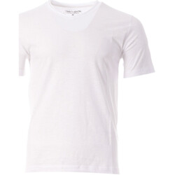 Vêtements Homme T-shirts manches courtes Teddy Smith 11016810D Blanc