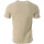 Vêtements Homme T-shirts & Polos Teddy Smith 11016809D Beige