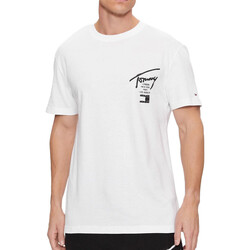 Vêtements Homme T-shirts & Polos Tommy Hilfiger DM0DM17716 Blanc