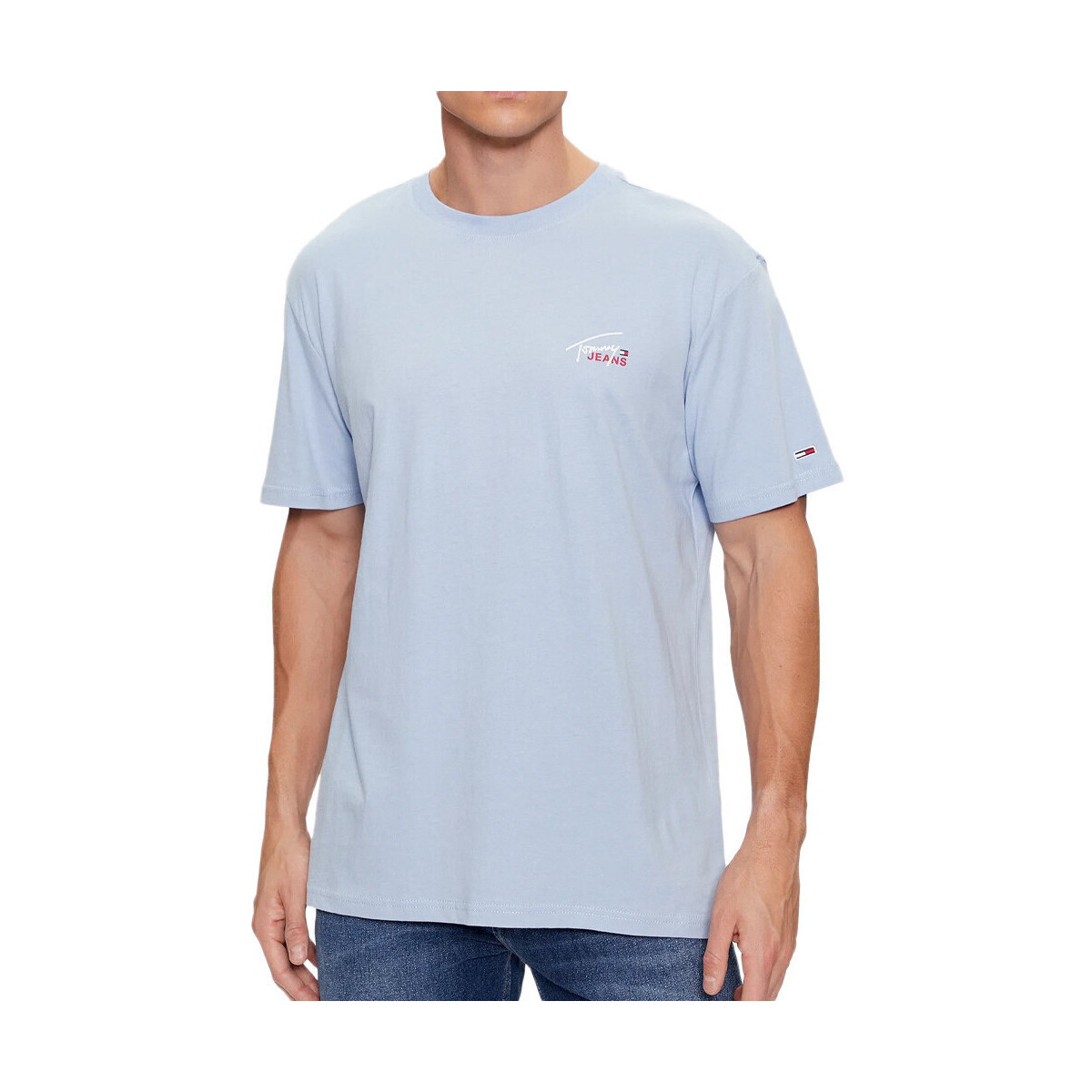 Vêtements Homme T-shirts & Polos Tommy Hilfiger DM0DM17714 Bleu
