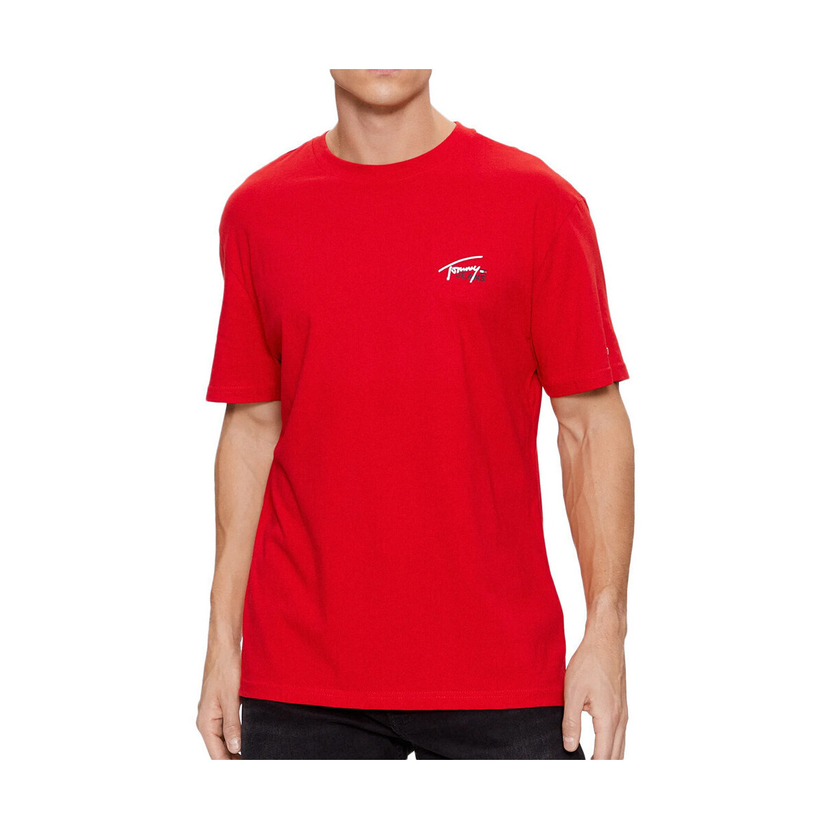 Vêtements Homme T-shirts & Polos Tommy Hilfiger DM0DM17714 Rouge