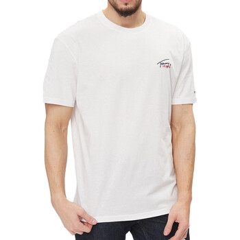 Vêtements Homme T-shirts & Polos Tommy Hilfiger DM0DM17714 Blanc