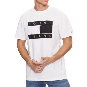 Vêtements Homme T-shirts manches courtes Tommy Hilfiger DM0DM17715 Blanc