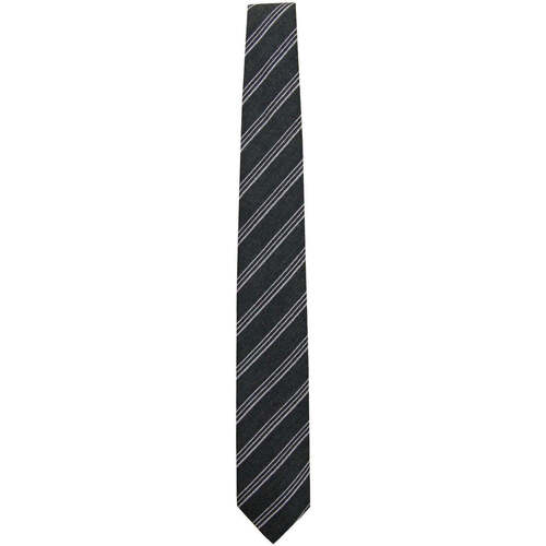 Vêtements Homme Cravates et accessoires Church's  Gris
