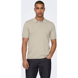 Vêtements Homme T-shirts manches courtes Only & Sons  22022219 WYLER Beige