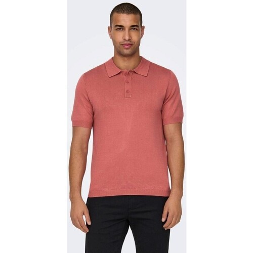 Vêtements Homme T-shirts manches courtes Only & Sons  22022219 WYLER Rouge