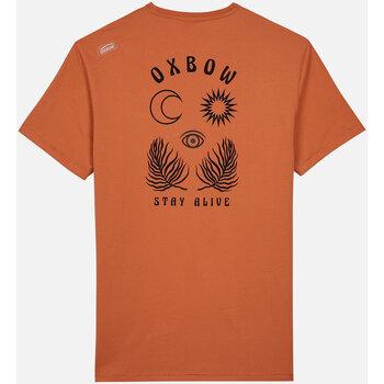 Oxbow Tee shirt manches courtes graphique TAPEBA Marron