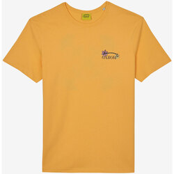 Vêtements Homme T-shirts manches courtes Oxbow Tee shirt manches courtes graphique TEREVA Orange
