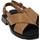 Chaussures Femme Sandales et Nu-pieds Camper Dana Sandals K201600 - Brown Marron