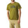 Vêtements Homme T-shirts manches courtes The North Face NF0A87N5 Vert