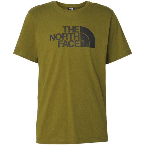 Vêtements Homme T-shirts manches courtes The North Face NF0A87N5 Vert