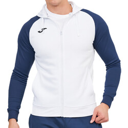 Vêtements Homme Sweats Joma EQ-101967.203 Blanc