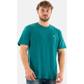Vêtements Homme T-shirts manches courtes Tommy Jeans dm0dm17995 Bleu