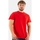 Vêtements Homme T-shirts manches courtes Tommy Jeans dm0dm09598 Rouge