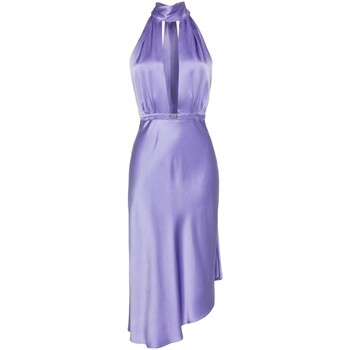 Vêtements Femme Robes Elisabetta Franchi ab58042e2-as6 Violet