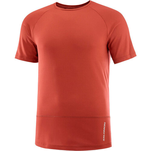 Vêtements Homme T-shirts manches courtes Caracter Salomon CROSS RUN Rouge