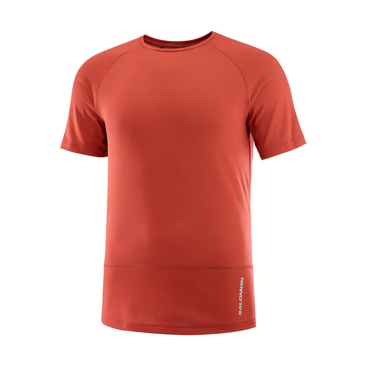 Vêtements Homme T-shirts manches courtes Salomon CROSS RUN Rouge