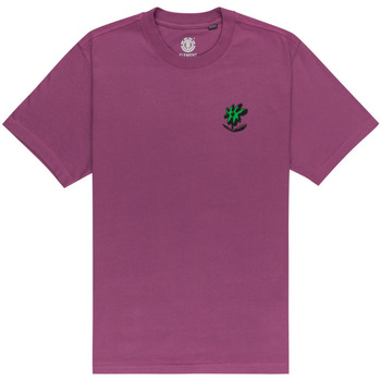 Vêtements Homme T-shirts & Polos Element Quiet Violet
