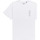 Vêtements Homme T-shirts & Polos Element Quest Blanc