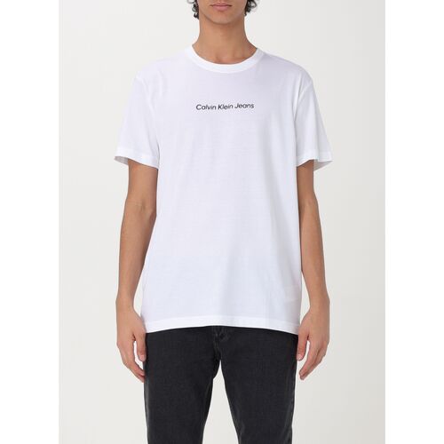Vêtements Homme T-shirts & Polos Calvin Klein Jeans J30J324646 YAF Blanc