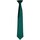 Vêtements Cravates et accessoires Premier PR755 Vert
