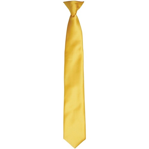 Vêtements Cravates et accessoires Premier PR755 Multicolore