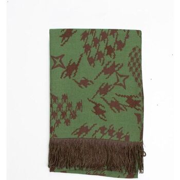 Accessoires textile Femme Echarpes / Etoles / Foulards Lamarthe EDINBURG EED00 Vert