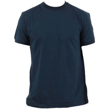 Vêtements Homme T-shirts & Polos Colmar  Bleu