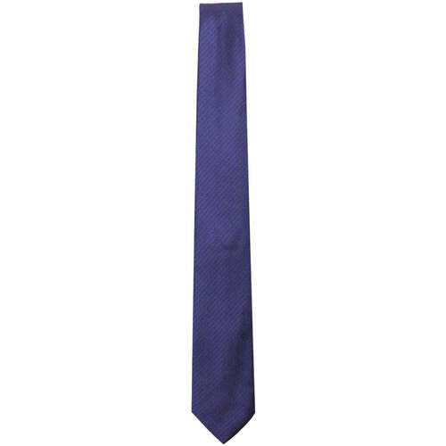 Vêtements Homme Cravates et accessoires Church's  Bleu
