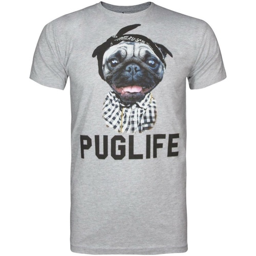 Vêtements Homme T-shirts manches longues Goodie Two Sleeves Puglife Gris