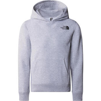 The North Face TEEN NEW GRAPHIC HOODIE Gris