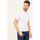 Vêtements Homme T-shirts & Polos Harmont & Blaine T-shirt homme  en crêpe de coton Blanc