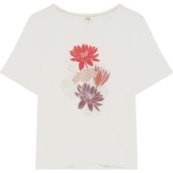 Vêtements Femme T-shirts manches courtes Caroll 164728VTPE24 Blanc