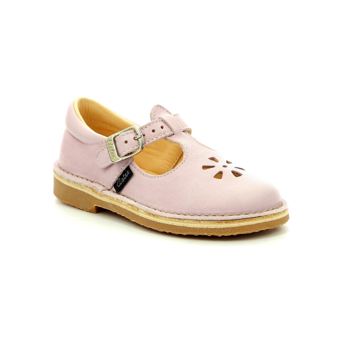 Chaussures Enfant Ballerines / babies Aster Dingo-2 Violet