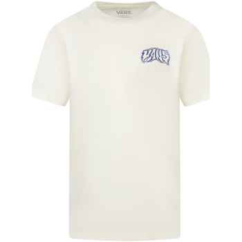 Vêtements Homme T-shirts & Polos summer Vans Tee-shirt col rond Beige