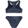 Vêtements Fille Maillots de bain séparables Roxy Bico Basic Stripe Bleu