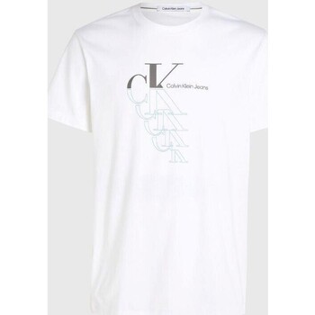 Vêtements Homme T-shirts manches courtes Calvin Klein Jeans J30J325352 Blanc