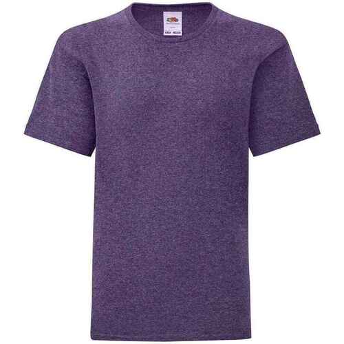 Vêtements Enfant T-shirts manches courtes Fruit Of The Loom Iconic Violet