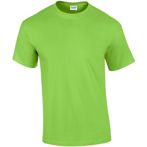 Vêtements Homme T-shirts manches longues Gildan GD02 Vert