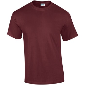 Vêtements Homme T-shirts manches longues Gildan GD02 Violet