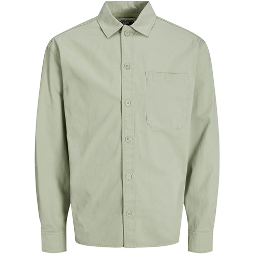 Vêtements Homme Chemises manches longues Jack & Jones Chemise coton regular fit Vert
