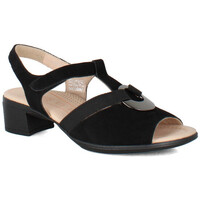 Chaussures Femme Sandales et Nu-pieds Ara 35730-01 Noir