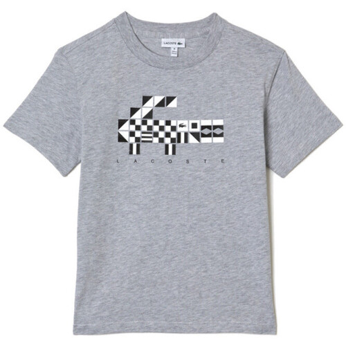 Vêtements Enfant T-shirts & Pepe Polos Lacoste T-Shirt  enfant oversize esprit nautique Gris