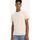 Vêtements Homme T-shirts & Polos Levi's 22491 1491 - GRAPHIC TEE-PALE PEACH Orange