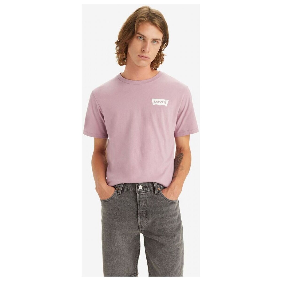 Vêtements Homme T-shirts & Polos Levi's 22491 1508 - GRAPHIC TEE-DUSTY ORCHID Rose